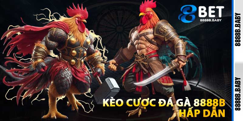 Kèo Cược Đá Gà 8888b Hấp Dẫn