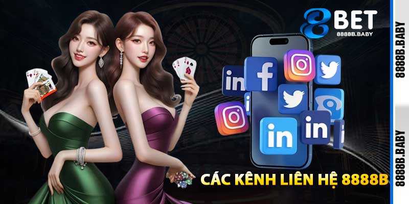 Các Kênh Liên Hệ 8888b